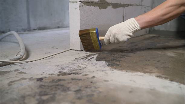 SJ Waterproofing Pros Basement Waterproofing coverage map for Le Roy, IL and surrounding area